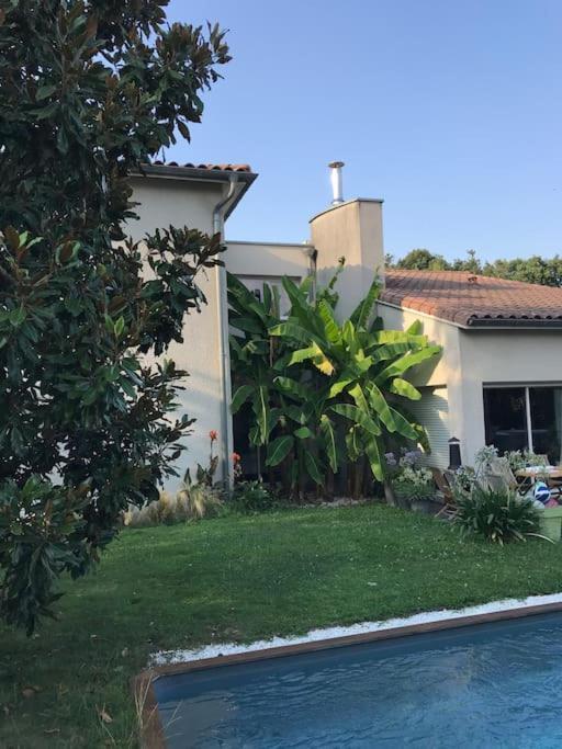 Le Calme Aux Portes De Toulouse Piscine, Clim Colomiers Bagian luar foto